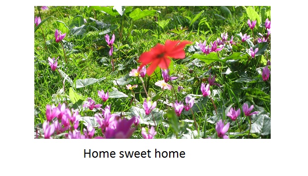 Home Sweet Home - Homely products from Honey Beeswax