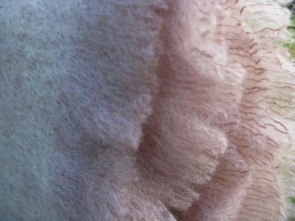 Avoca Mohair Throws Barn Owl Handmade Gifts Made With Love Simple Mohair Throw Blankets Avoca Mohair Throws Barn Owl Handmade Gifts Made With Love Simple Mohair Throw Blankets