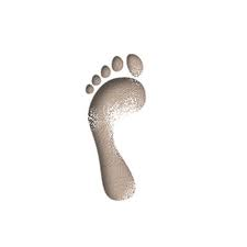 footprint