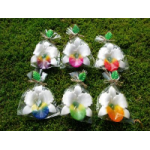 Floating Flower Collection from Honey Beeswax