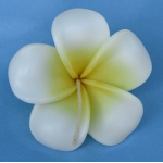 Floating Flower candles