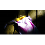 Three Beeswax Candles in a Drawstring Bag from Honey Beeswax