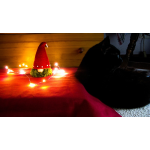 Tomte - Jeremy and Fluffy