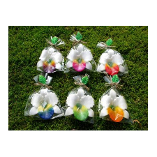 Floating Flower Collection from Honey Beeswax