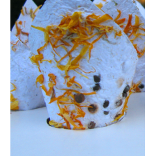 Marigold and Moss - Handmade Confetti Cones