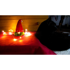 Tomte - Jeremy and Fluffy