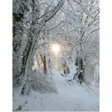 Christmas Card - Snow Light- Photographs by m.joy - available from Honey Beeswax
