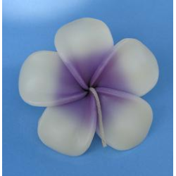 Purple Frangipan - Floating Flower Candles