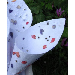 Delphinium - Handmade Confetti Cones