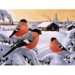 Jan Bergerlind Christmas Postcards - Bullfinches - Honey Beeswax