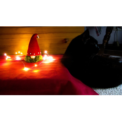 Tomte - Jeremy and Fluffy