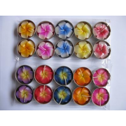 Plumeria or Frangipan - Flower T-Lights - Light and Dark