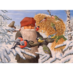 Tomte feeding the Birds