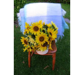 Blue as the Sea - Mohair Throw