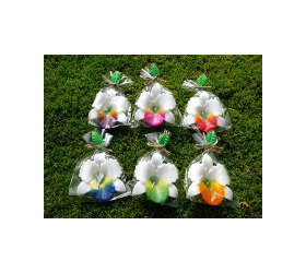 Floating Flower Collection from Honey Beeswax