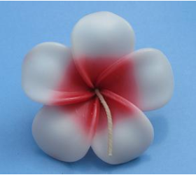 Red Frangipan - Floating Flower Candles