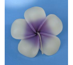 Purple Frangipan - Floating Flower Candles