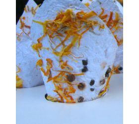 Marigold and Moss - Handmade Confetti Cones