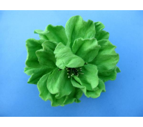 Green Corsage