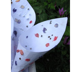 Delphinium - Handmade Confetti Cones
