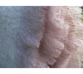 Barn Owl - Mohair Throws