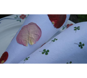 Rose Petals - Handmade Confetti Cones