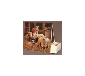 Jan Bergerlind - Matchboxes - Lambs - Honey Beeswax