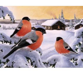 Jan Bergerlind Christmas Postcards - Bullfinches - Honey Beeswax
