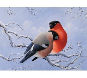 Pair of Bullfinches