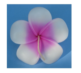 Floating Flower Candles from Honey Beeswax