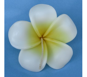 Floating Flower candles