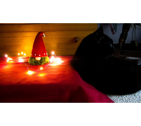 Tomte - Jeremy and Fluffy