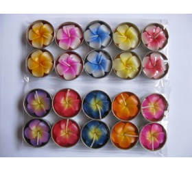 Plumeria or Frangipan - Flower T-Lights - Light and Dark
