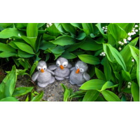Needle Felted Penguin Chick  - Handmade by Honey Beeswax