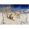 Jan Bergerlind Christmas Postcards - Deers - Honey Beeswax