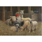 Jan Bergerlind Christmas Postcards - Sheep - Honey Beeswax