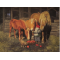 Jab Bergerlind Advent Calendars - Feeding the Horses - Honey Beeswax