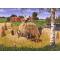 Jan Bergerlind Postcards - Hay Making - Honey Beeswax