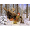 Jan Bergerlind Christmas Poscards - Moose - Honey Beeswax