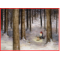Jan Bergerlind - Posters - Beautiful Scandinavian folklore available from Honey Beeswax