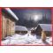 Jan Bergerlind - Posters - Beautiful Scandinavian folklore available from Honey Beeswax