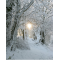 Christmas Card - Snow Light- Photographs by m.joy - available from Honey Beeswax